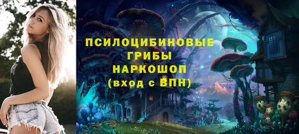 кокс Костерёво