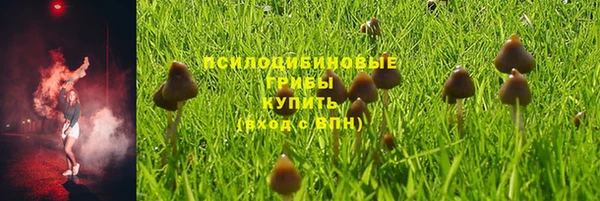 скорость Корсаков