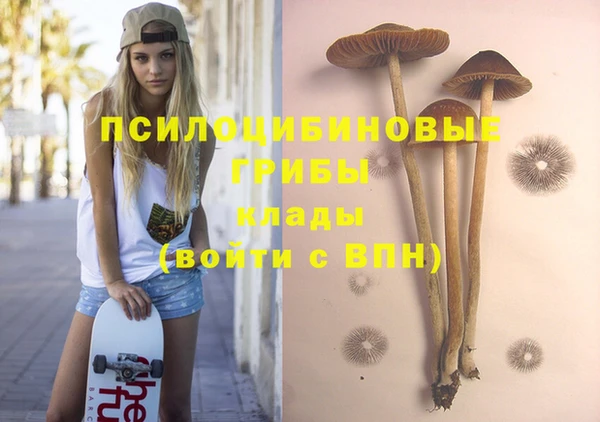 скорость Корсаков