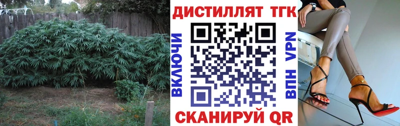 Купить закладки  Болотное  Дистиллят ТГК жижа 