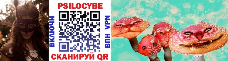 Купить где  Болотное  Галлюциногенные грибы мухоморы 