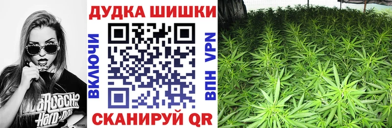 Марихуана план  Купить закладки  Болотное 